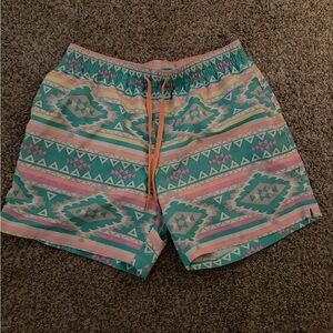 Men’s Chubbies Swim Trunks